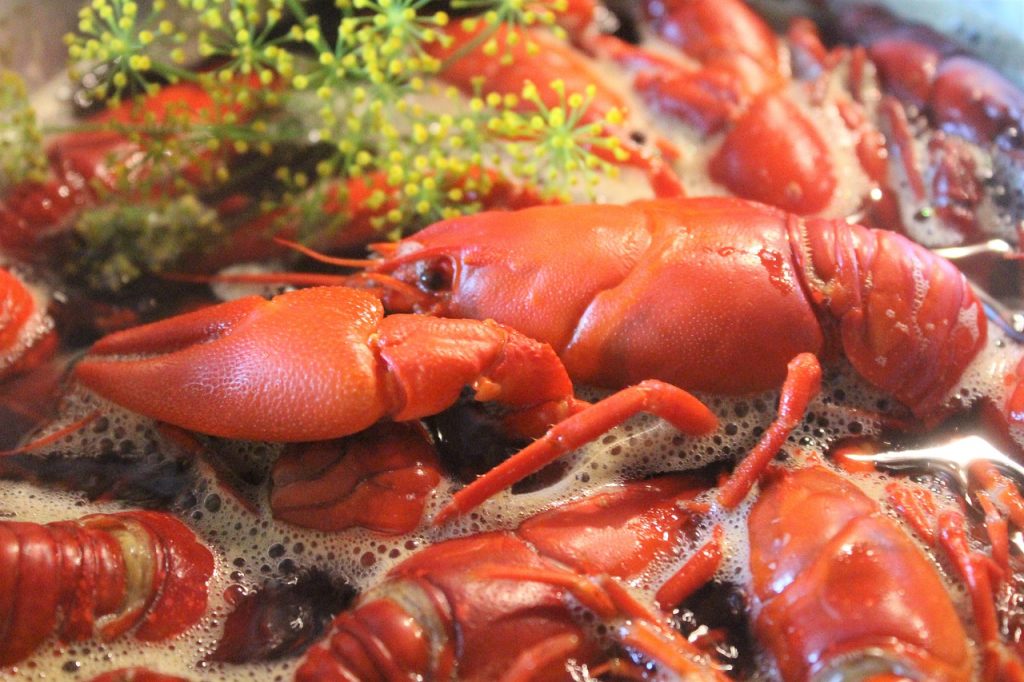 crayfish, kok, seafood-4614253.jpg